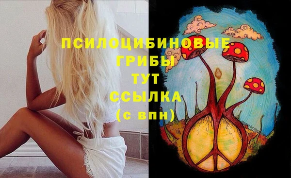 Альфа ПВП Магас