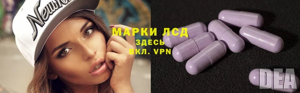 СК Магадан