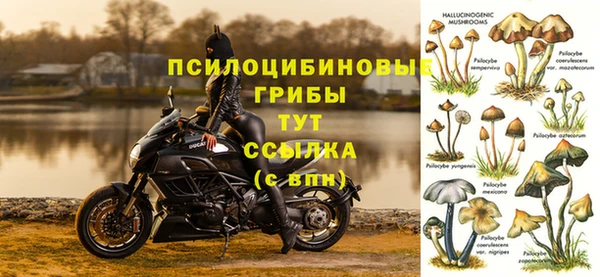 СК Магадан