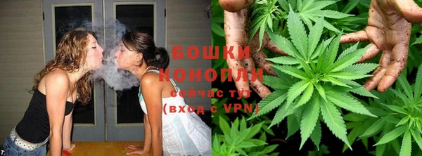 сатива Майский