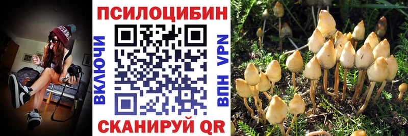 Псилоцибиновые грибы MAGIC MUSHROOMS  Давлеканово 